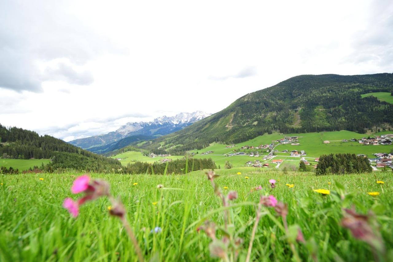 Buttermilchalm Bed & Breakfast Sankt Martin am Tennengebirge Ngoại thất bức ảnh